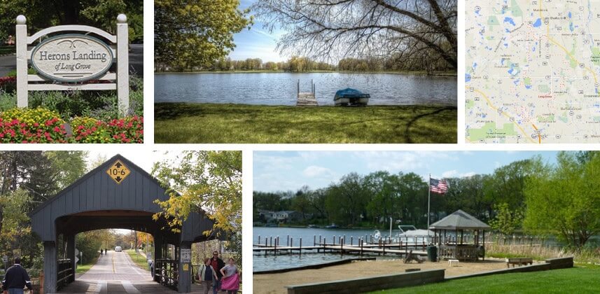 Long-Grove-Head-Medium