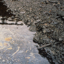 The Exxon Valdez Oil Spill by Angel Water