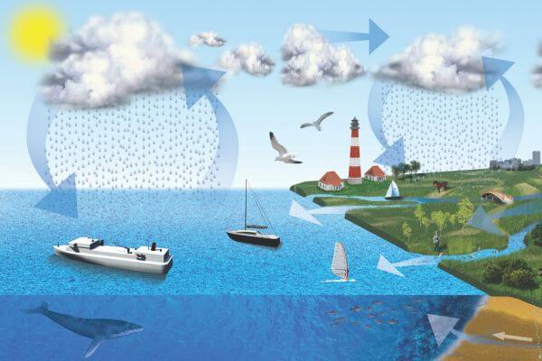 An illustration showing part of the water cycle