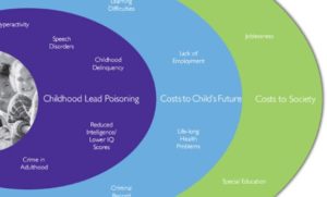 Ripple effects of childhood lead poisoning.