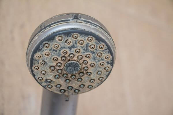Image of a shower head with scaling., which water softeners can prevent.