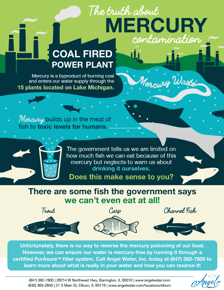Infographic showing the dangers of Mercury in drinking water from coal fire power plants.