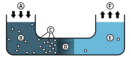 A graphic showing the process of reverse osmosis.