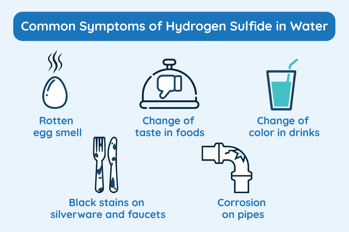 Why Your Water Smells like Rotten Eggs