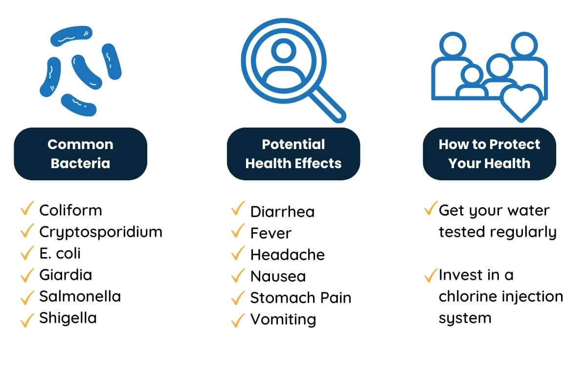 7-foods-to-eat-and-soothe-your-stomach-ache-fast-metabolism-diet