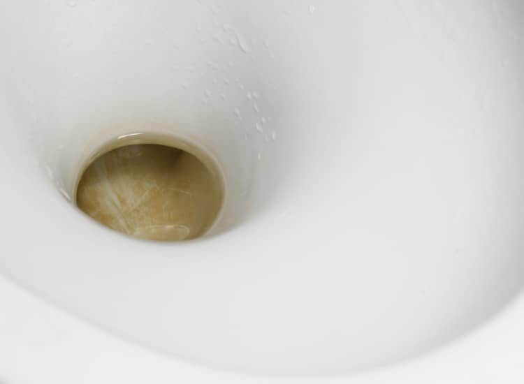 Brown toilet bowl stains in a toilet