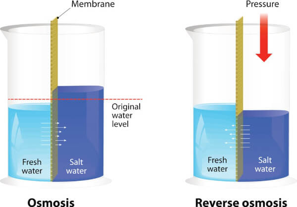 Diagram illustrating how reverse osmosis differs from osmosis
